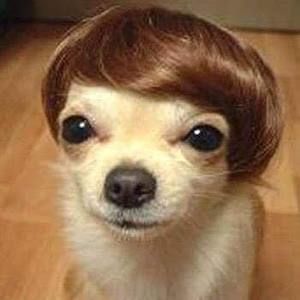 Meet your Posher, Caroline